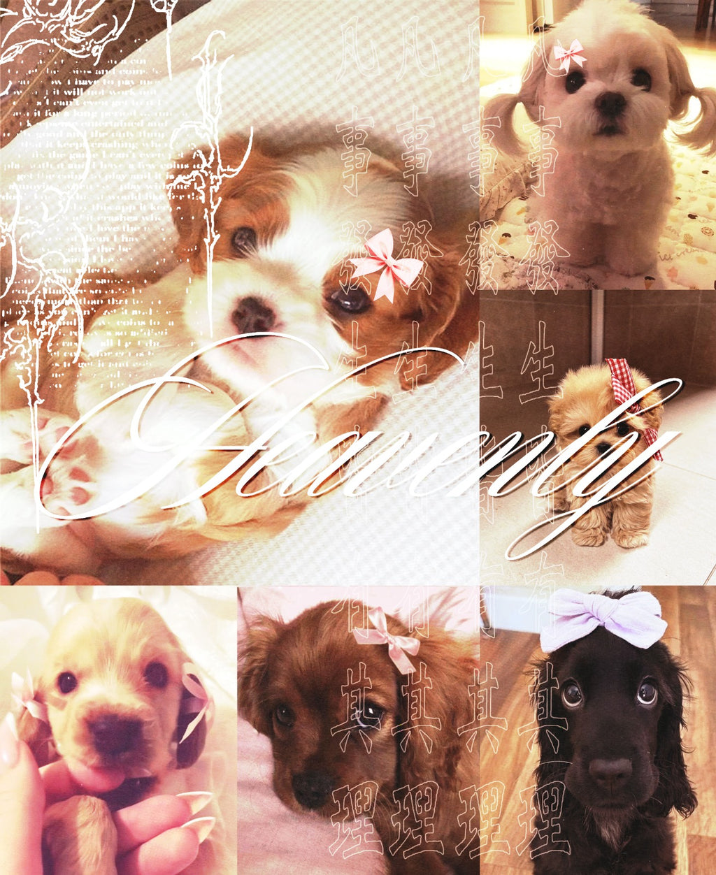 Y2k dogs shower curtain